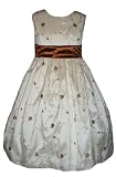 New Ivory & Chocolate Brown Embroidered Flower Girl Dress ~ 2 to 12 Girls