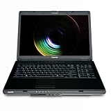 Toshiba Satellite L355D-S7829 17-Inch Laptop (2.1 GHz AMD Turion X2 Dual Core Mobile RM-72 Processor, 4 GB RAM, 250 GB HDD, DVD Drive, Vista Premium)