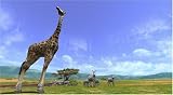 �wAFRIKA�x���g�債�Č���