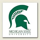 Michigan State Spartans NCAA Stone Coaster Set of 4