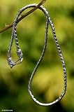 Mens Jewelry, Sterling Silver Chain Necklace, Look Sleek 18 L 41D gqdln L. SL160 Mens Jewelry, Sterling Silver Chain Necklace, Look Sleek 18 L