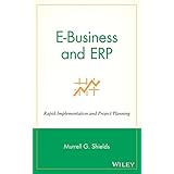 e business and erp rapid implementation and project planning