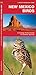 New Mexico Birds: A Folding Pocket Guide to Familiar Species (Nature Observation North America)