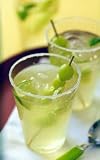 Sugar Free Instant Matcha Green Ice Tea Mix Makes 9 Quarts