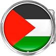Palestine Flag Belt Buckle