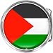 Palestine Flag Belt Buckle