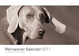 Weimaraner; Weimaraner-Kalender 2011: Gila und Anton Fichtlmeier