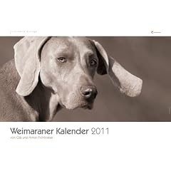 Weimaraner; Weimaraner-Kalender 2011: Gila und Anton Fichtlmeier