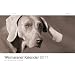 Weimaraner; Weimaraner-Kalender 2011: Gila und Anton Fichtlmeier