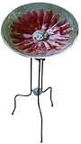 Evergreen 2GB015 Glass Bird Bath, Daisy, 18-Inches Diameter