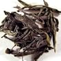 Fenghuang Dancong (Dragon Phoenix) Tribute Tea - Gourmet Oolong Tea Leaves