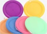 Frosted Plastic Plates 25cm 4/Pk (183052)