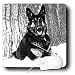 Dogs German Shepherd - German Shepherd - Mouse Pads