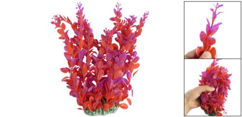 Image #2 of Red Purple Standing