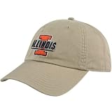 Nike Illinois Fighting Illini Khaki 3D Tailback Hat