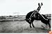 Bygone Days:1907-1957 Photographs By John Penor And Family