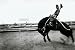 Books : Bygone Days:1907-1957 Photographs By John Penor And Family