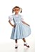 Kidcostumes Child's Dorothy Costume Dress for The Wizard of Oz, Small 4/6