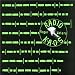 Radio K.A.O.S.