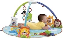 Fisher-Price Precious Planet Deluxe Musical Activity Gym
From Fisher-Price
