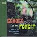 Echoes of the Forest: Music of the Central African Pygmies