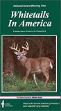 Whitetails In America [VHS]