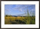 Hills loom in the distance on a grassland under a cloud sprinkled sky Photography Framed Art Poster Print by Steve Winter, 29x21