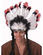 Deluxe Native American...