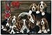 Basset Hound Family Doormat Rug Mat