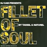 Revue DJ Cam  / Fillet of soul