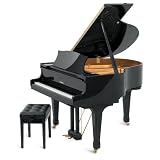 Suzuki M 570BL Acoustic Grand Piano, 4 Feet 9 Inches ,Black 41D0b9d1NEL. SL160 Suzuki M 570BL Acoustic Grand Piano, 4 Feet 9 Inches ,Black