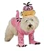 Flintstones Dino Dog Halloween Costume (X-Large)