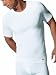 Champion Men's Double Dry Activefit 2-Pack Crew T-Shirt, Grey/Black, X-Large