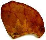 Pig Ears Plain Natural Dog Treats