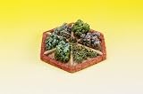 Dollhouse Miniature Painred Resin Herb Garden