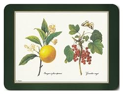 Jason Redoute Fruit Placemats - Set of 4 (Large)