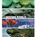 Moving Pixels: Blockbuster Animation, Digital Art and 3D Modelling Today