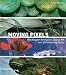 Moving Pixels: Blockbuster Animation, Digital Art and 3D Modelling Today