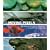 Moving Pixels: Blockbuster Animation, Digital Art and 3D Modelling Today