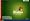 Windows XP Home Edition SB inkl. Service Pack 2 (OEM-Version)