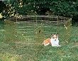 Amazon.com: Midwest Gold Zinc Pet Exercise Pen : Size 24X30