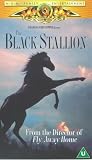 The Black Stallion [VHS]