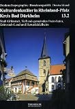 Produkt-Bild: Kulturdenkm&auml;ler in Rheinland-Pfalz, Bd.13/2 : Kreis Bad D&uuml;rkheim
