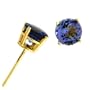 14k Yellow Gold 1.01 Ct Tanzanite Earring