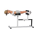 Fitness Plus Hyperextension Bench For Back