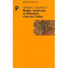 Magie dans la medecine des celtes (la)