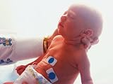  : The Incredible Human Body