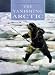 Vanishing Arctic