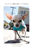 犬たちにインタビュー―with English 画像