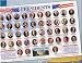 PRESIDENTS LEARNING PLACEMAT by Painless Learning